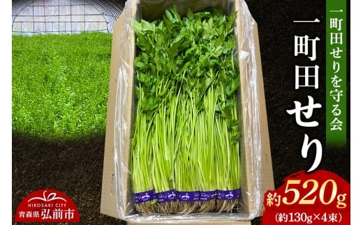 野菜 一町田せり 約520ｇ (約130g×4束)