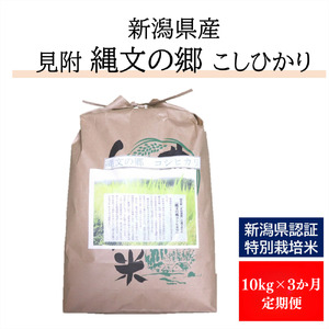 【数量限定・定期配送】 令和6年産 新潟県産 縄文の郷コシヒカリ 精米 30㎏（10kg（5kg×2） × 3か月間発送）