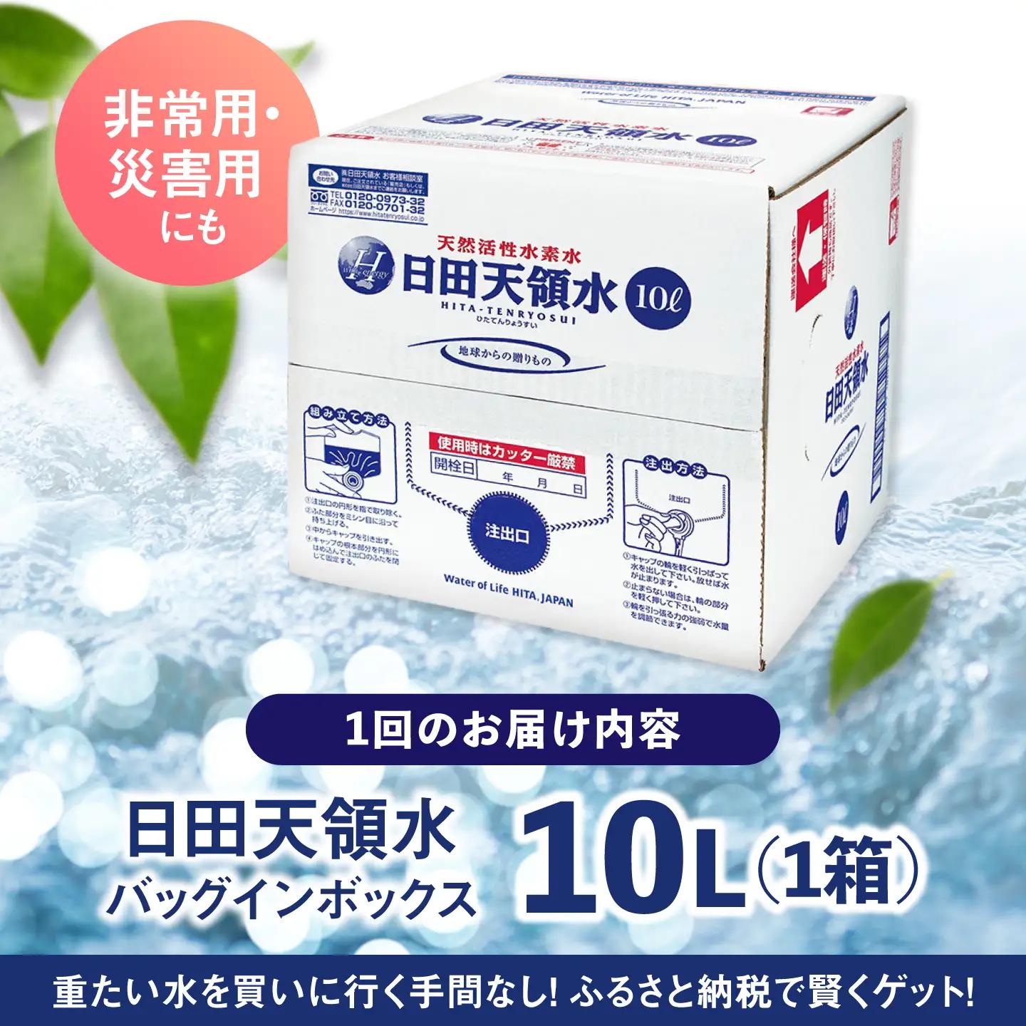 【全2回定期便】日田天領水 10L×1箱 天然水 備蓄 防災 ミネラルウォーター シリカ [AREG015]