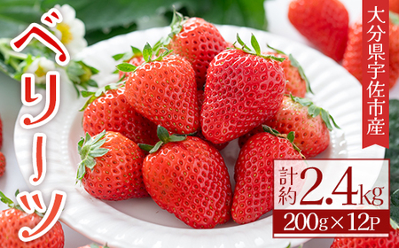 ＜2026年1月上旬～4月下旬の間に発送予定＞いちご(計約2.4kg・200g×12P)苺 イチゴ フルーツ 果物 くだもの 果実 ベリーツ【117900300】【Farm U.S.A.】