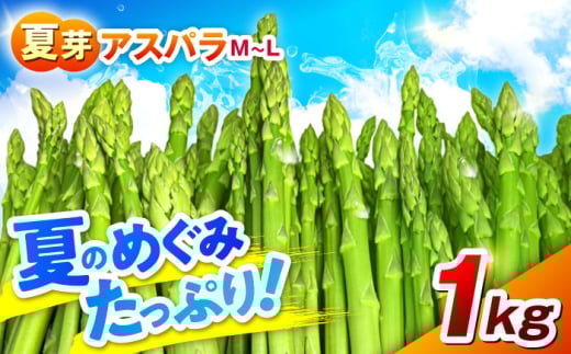 【先行予約】 【数量限定】山鹿市産 いけだ農園のアスパラガス 夏芽(M~Lサイズ)　1kg【いけだ農園】 [ZFP001]