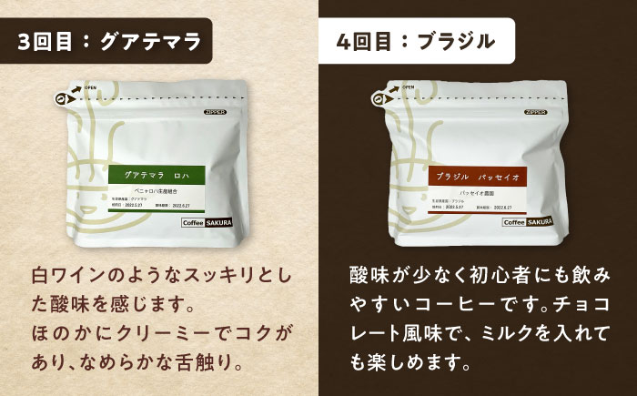 【全6回定期便】世界のコーヒー豆 満足便(粉) / 珈琲 コーヒー / 瀬戸市 / Ｃｏｆｆｅｅ　ＳＡＫＵＲＡ [BBAB153] 粉