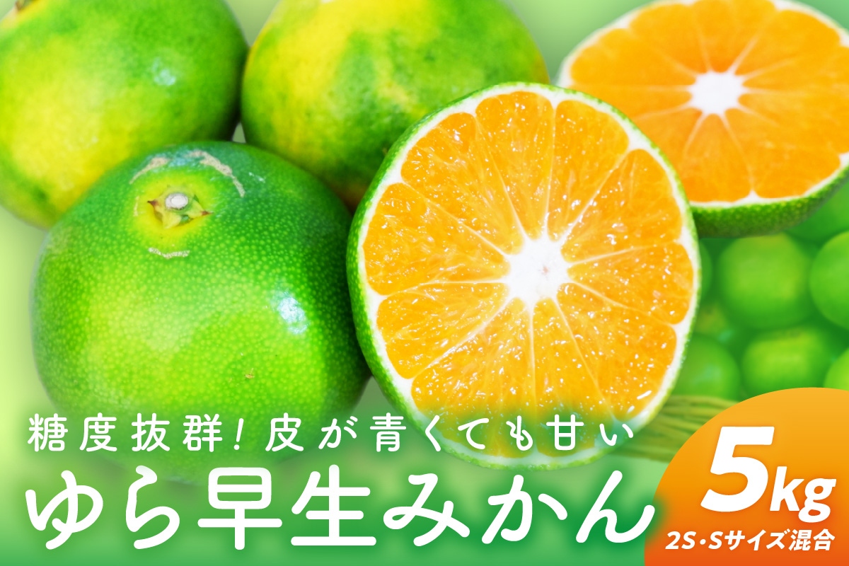 【0162-3】糖度抜群！ゆら早生（みかん）5kg≪先行予約≫