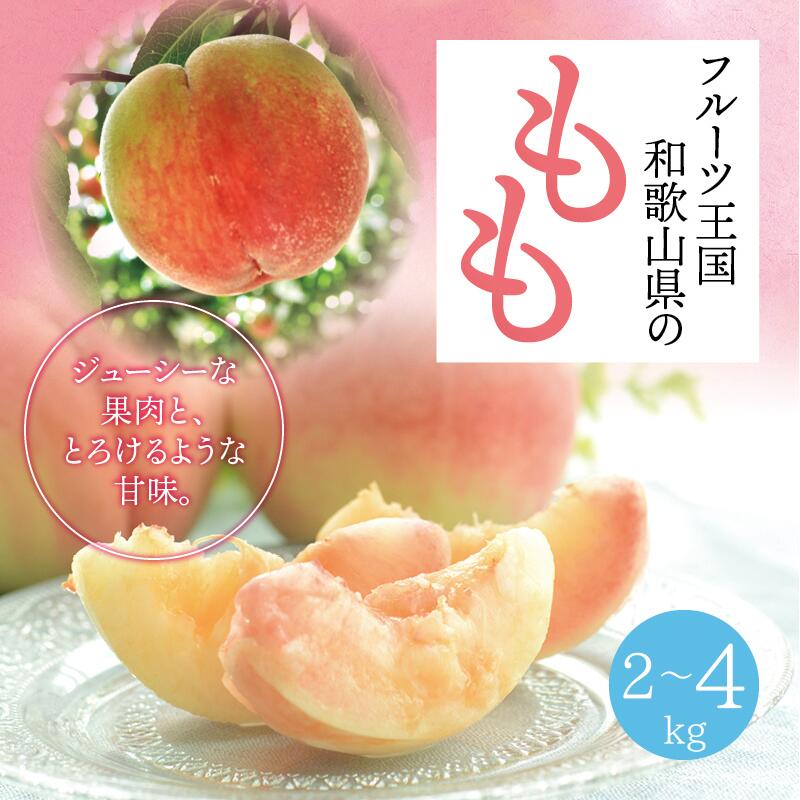 【ふるさと納税】【選べる容量】【先行予約】【夏の美味】【和歌山ブランド】フルーツ王国　和歌山の桃　約2kgまたは約4kg　※2025年6月中旬～7月下旬頃順次発送（お届け日指定不可） ／ 和歌山 桃 モモ momo フルーツ もも 白桃 白鳳 清水白桃 なつっこ 川中島 ジューシー