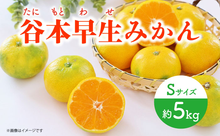 
            【先行予約】極早生（谷本早生） みかん Sサイズ 約5kg ー2025年10月より発送ー 長与町/山口農園 [EBI006] みかん 柑橘 果物 くだもの フルーツ 季節限定 数量限定 温州みかん ミカン 5kg 先行予約 産地直送 長崎県産 長与町
          