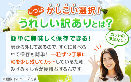 【先行予約】【3回定期便】 訳あり シャインマスカット 切り落とし 約700g  【合同会社 社方園】[ZBZ046]
