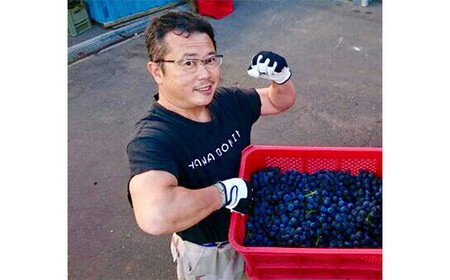 ジュース職人こだわり ぶどうジュース100％ストレート （無添加） 3本入 【名川果汁】 F21U-202