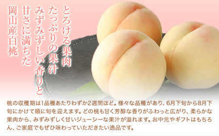 【2025年先行予約】白桃 約2kg もも モモ 岡山 国産 フルーツ 果物 桃茂実苑《6月中旬-9月中旬頃出荷》岡山県 浅口市 フルーツ モモ 果物 青果 旬 白桃 国産 岡山県産【配送不可地域あり