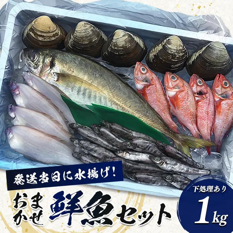 面倒な下処理不要！旬のおまかせ鮮魚セット 約1kg  FAI-0157
