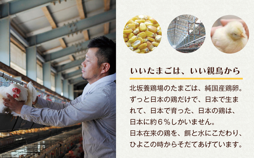 淡路島もみじ・淡路島さくら　詰め合わせ　　[たまご 鶏卵 濃厚 たまごかけごはん 生卵 卵かけご飯 卵かけごはん 玉子焼き 卵焼き ゆで卵]