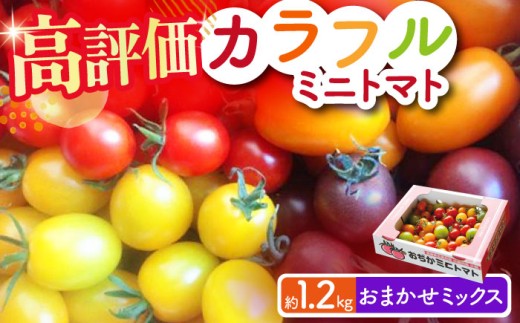 【おまかせMIXトマト】カラフルミニトマト 約1.2kg みにとまと minitomato りんたろうとまと 長崎県 とまと 小値賀町 トマト りんたろうふぁ～む [DAE002] 1万円 以上