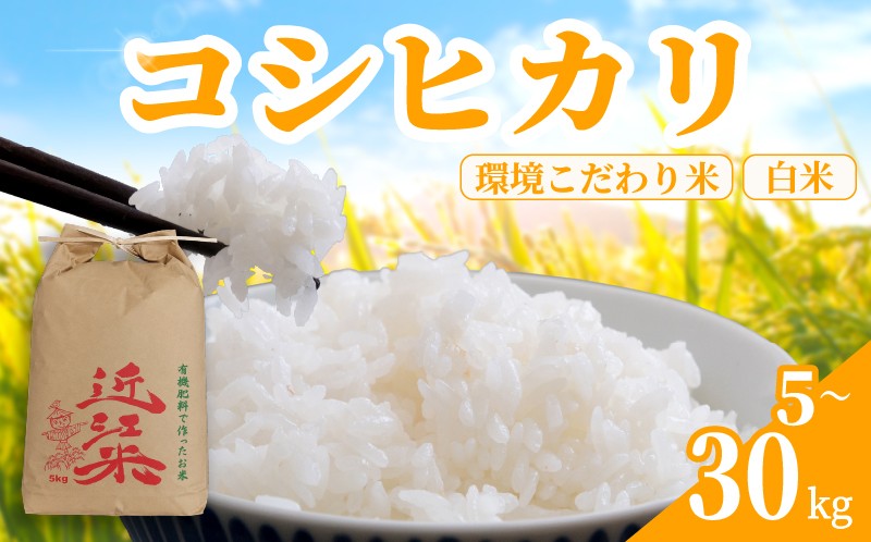
                  【 令和8年産 】 新米 コシヒカリ 30kg ～ 5kg 白米 環境こだわり 2026年産 滋賀県 日野町 育農舎 [IN010_R8_OYA]
                