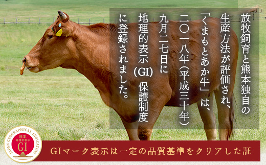 【GI認証】くまもと あか牛 ハンバーグ《ご家庭用》150g×10個 あか牛100％ 赤身 冷凍 熊本県産 あかうし はんばーぐ 惣菜 おかず 和牛 牛肉 オオツカ 073-0409