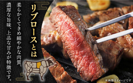 【柔らかい霜降りステーキ！】長崎和牛 リブロース ステーキ 計500g (約250g×2枚)【黒牛】[QBD009]