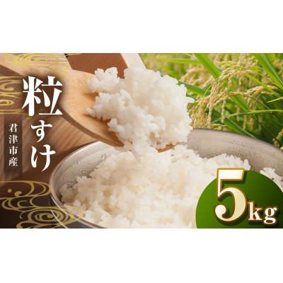 ふるさと納税 君津市 【令和7年度産】君津市産粒すけ　精米　5kg×1袋