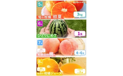 【全12回定期便】 わかやま旬のくだもの定期便 【Ｓ】 （配送日時指定不可）  / 定期便 フルーツ みかん いちご イチゴ 清見オレンジ セミノール 河内晩柑 カラマンダリン すいか 桃 ジュース 