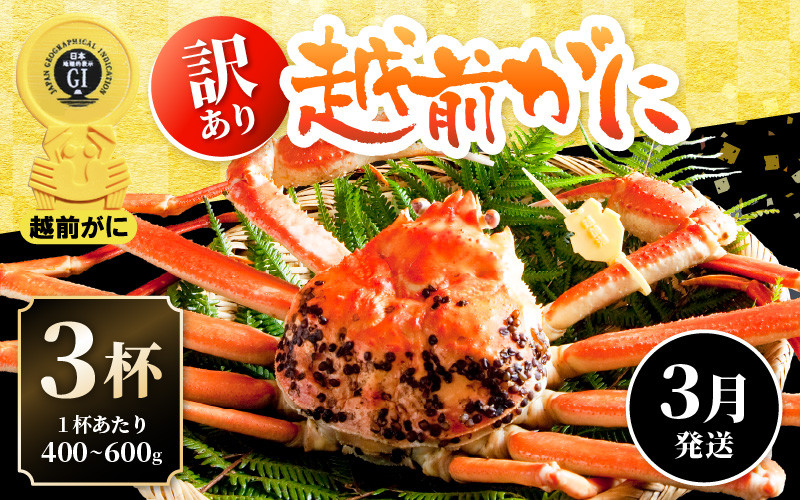 
            越前がに本場の越前町からお届け！【訳あり】≪浜茹で≫越前がに 3杯（生で1杯400～600g）食べ方しおり付【規格外 雄 ズワイガニ かに カニ 蟹 越前ガニ 姿 ボイル 冷蔵 福井県】【3月発送分】希望日指定可 備考欄に希望日をご記入ください [e14-x021_03]
          