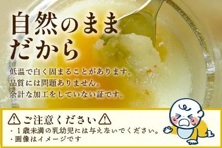 はちみつ 山の蜜 400g×1本 冷蔵｜国産 蜂蜜 百花蜜 ニホンミツバチ 希少 自然養蜂 瓶 もろっこはうす 宮崎県 諸塚村 MO-02