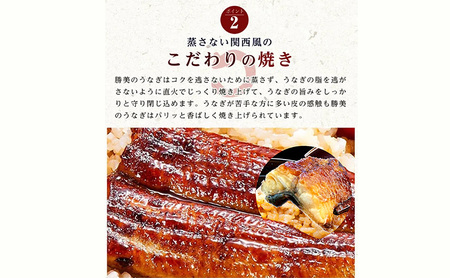 うなぎ 国産 蒲焼3種セット（長焼き160g×1尾 ・カット80g×1・きざみ90g×1 タレ75ml×1・山椒付）勝美 ギフト プレゼント お歳暮 誕生日 内祝