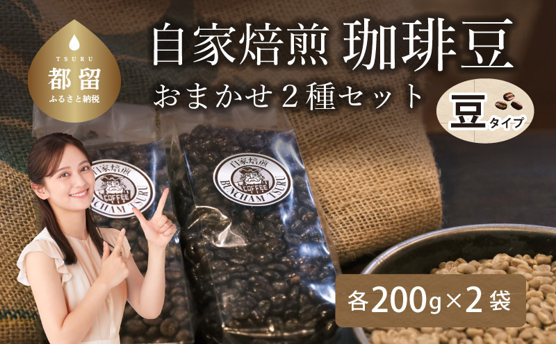 自家焙煎珈琲豆 ＜豆のまま＞ おまかせ２種類【バンカム・ツル】｜煎りたて コーヒー 直送 老舗 本格派 喫茶店 プレゼント アロマ 贈答用 水蒸気焙煎