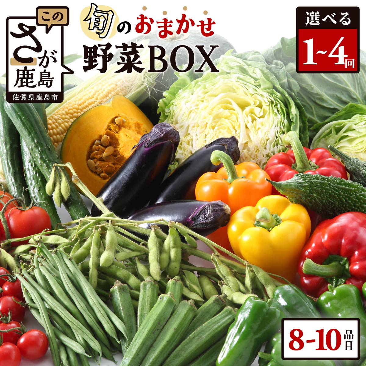 【ふるさと納税】レビューキャンペーン【選べる回数】野菜 定期便 1～4回 旬のおまかせ野菜BOX 8~10品目 | ふるさと納税 野菜 定期便 定期 やさい 野菜セット 詰め合わせ 旬 新鮮 産地直送 大容量 ふるさと 佐賀県 鹿島市 安全安心 リピーター オススメ 人気 送料無料 C-47