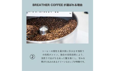 BREATHER COFFEE 珈琲飲み比べセット100g x 3袋 挽き方選択可 コーヒー 豆 極細引き エスプレッソ用 中粗挽き ペーパードリップ用 スペシャリティコーヒー お豆のまま