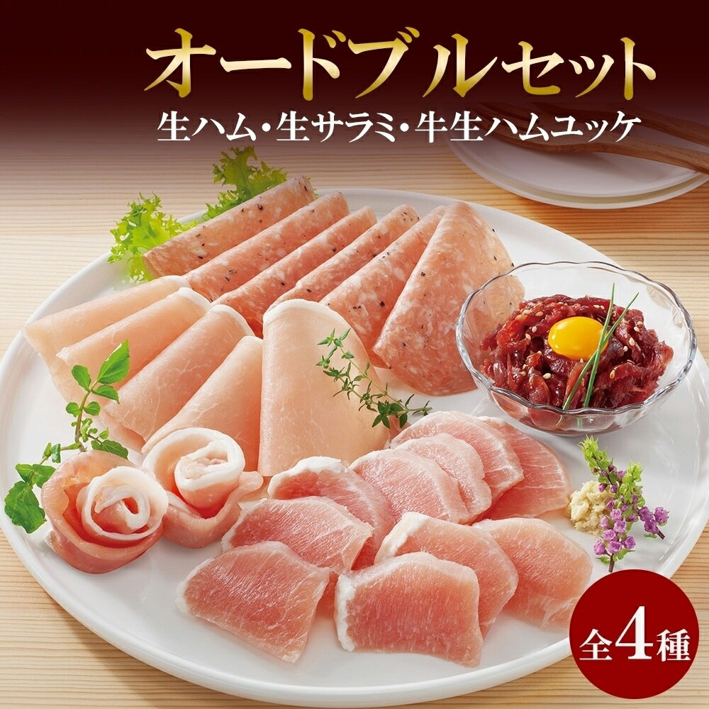 【ふるさと納税】 生ハム 4種 オードブル セット 生ハム サラミ ユッケ 豚肉 ブロック スライス 燻製 おつまみ パーティー 冷凍 ギフト バルナバハム バルナバフーズ 北海道 札幌市