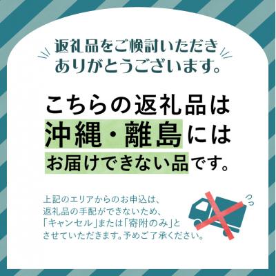 ふるさと納税 大江町 《先行受付》すもも(プラム)約4kg 2種以上【2025年8月中旬頃〜発送予定】001-076 |  | 02