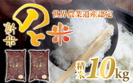 【新米】のと米（精米10kg）/ 精米
