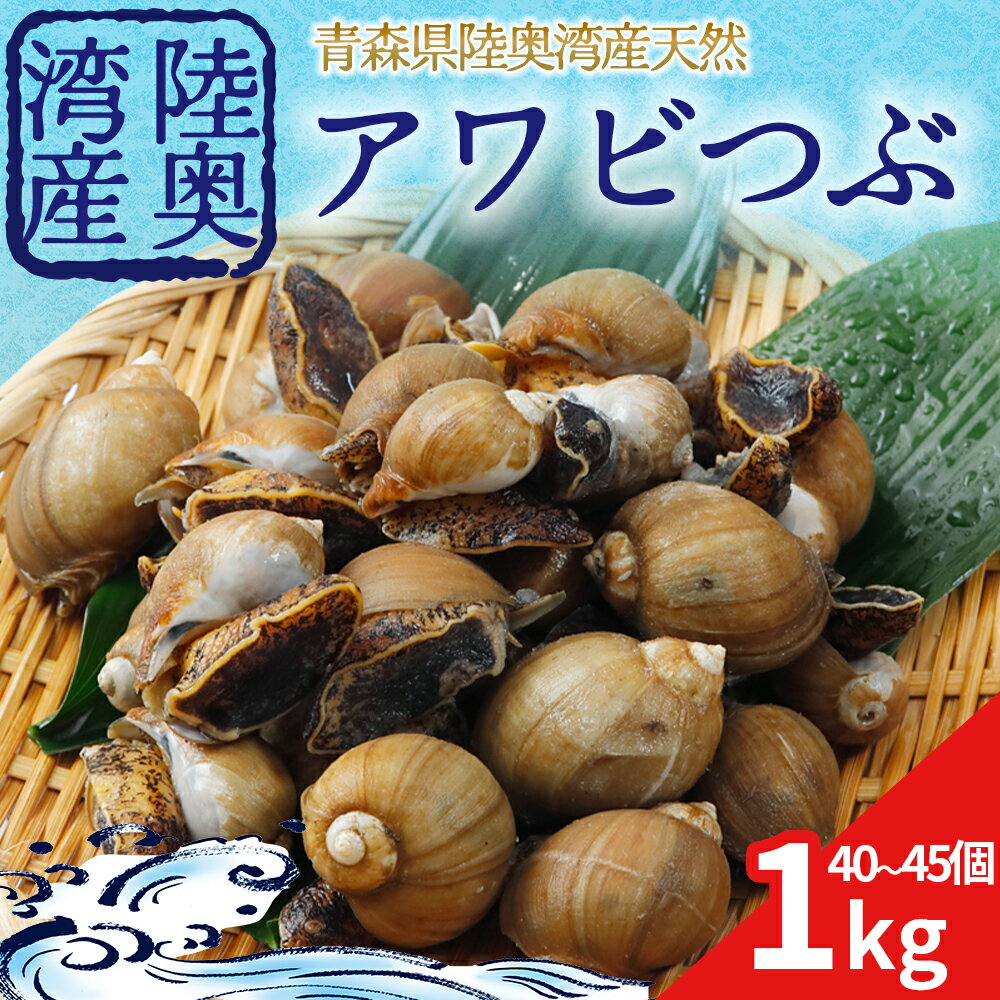 【ふるさと納税】陸奥湾産 アワビつぶ(おでんつぶ) 貝 海鮮 新鮮 ふるさと納税 貝 ツブ ツブ貝 モスソ貝 あわびつぶ 青森県産 むつ市