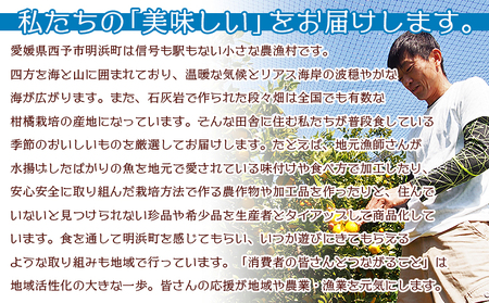 幻の柑橘　黄金柑ジュース【２本セット】（愛媛県明浜産）