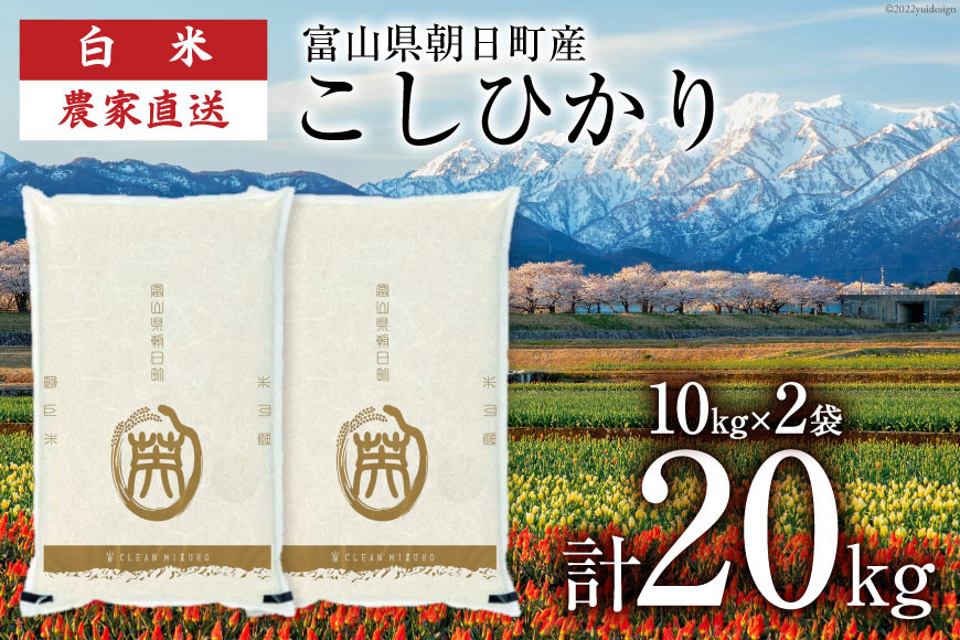 
            期間限定発送 米 令和6年 こしひかり 精米 20㎏ [クリーンみず穂 富山県 朝日町 34310447] お米 コシヒカリ コメ 20キロ ご飯 ごはん 白米 産地直送 一等米  おこめ こめ
          