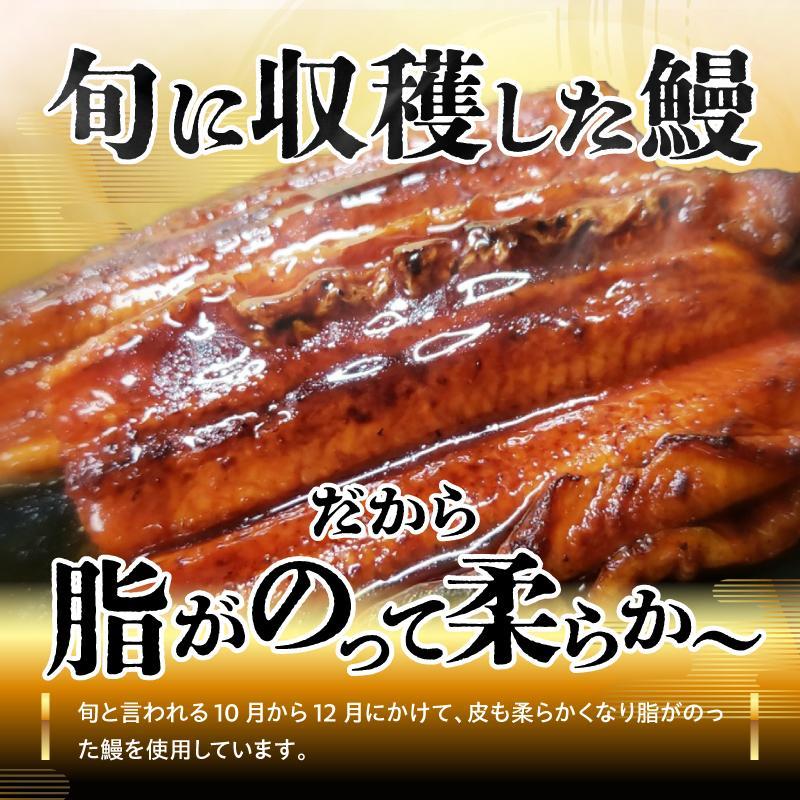 【お歳暮ギフト】源内 うなぎの蒲焼 3尾 ( 150g × 3尾 ) 香川県産 ｜ うなぎ 蒲焼 たれ・粉山椒付き