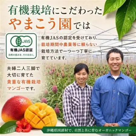 【2027年7月上旬から順次発送・有機JAS認証】オーガニックマンゴー2kg(4～5玉)【配送不可地域：離島】【1589198】