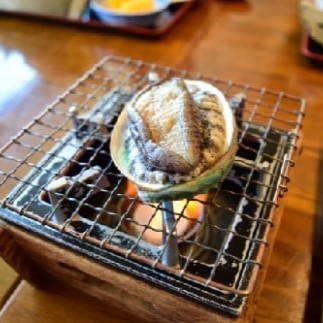 【2025年11月～発送】アワビ 約500g ( 4個前後) ※アワビヘラ＆軍手付き※【期間限定】｜11月～12月発送 三陸 岩手県 大槌町 あわび 人気 鮑 刺身 いわて iwate 2025 初栄