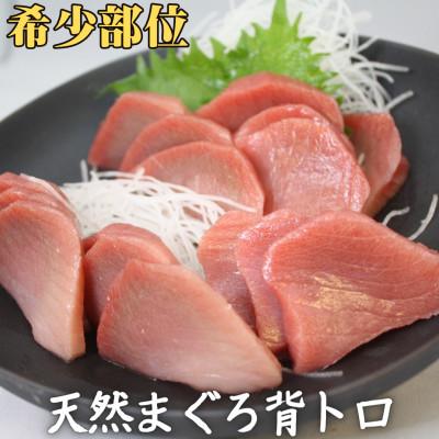 ふるさと納税 三浦市 ≪希少部位≫目鉢鮪の背トロお刺身セット