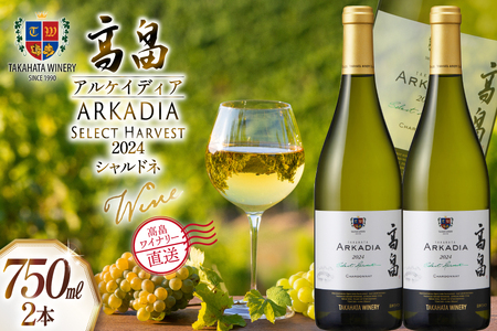 ワイン 白 高畠 アルケイディア シャルドネ 750ml 2本 セット [高畠ワイナリー 山形県 高畠町 tk06ays730061]