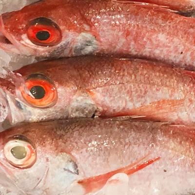 ふるさと納税 八幡浜市 八幡浜発! 竹中水産の「ノドグロー匠の天日干し」1kg前後【H22-218】 |  | 01