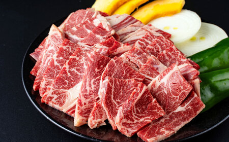 熊本あか牛 焼肉用カット ( バラ ロース ) 500g 【合同会社　長岡フーズ】[ZFR041]