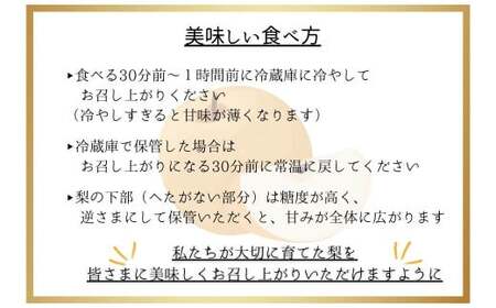 熊本県ＪＡくま産 球磨の梨 5kg(12玉～16玉 旬な品種) お届け時期：2025年8月上旬～10月上旬