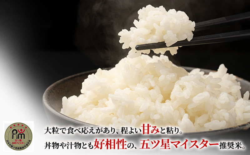 あいちのかおり 5kg 定期便6回 計30kg 富士山の麓で育てた 米 お米 白米 精米 ブランド米 産地直送 静岡 静岡県 裾野 裾野市