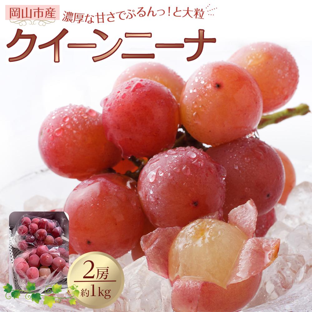 【ふるさと納税】ぶどう 2026年 クイーンニーナ 2房 合計約1kg 種無し ブドウ 葡萄 岡山市産 国産 フルーツ 果物 渡邊農園 | フルーツ 果物 くだもの 食品 人気 おすすめ 送料無料