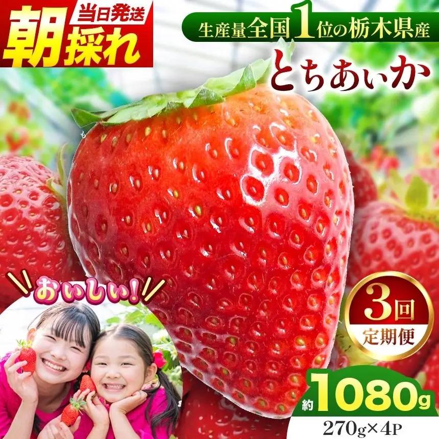 【定期3回】那珂川町産とちあいか　朝採れ当日発送 270ｇ×4Ｐ