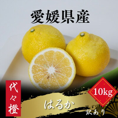 【ふるさと納税】【爽やかな甘さ】【訳あり】はるか 10kg【F83-46】【1625108】