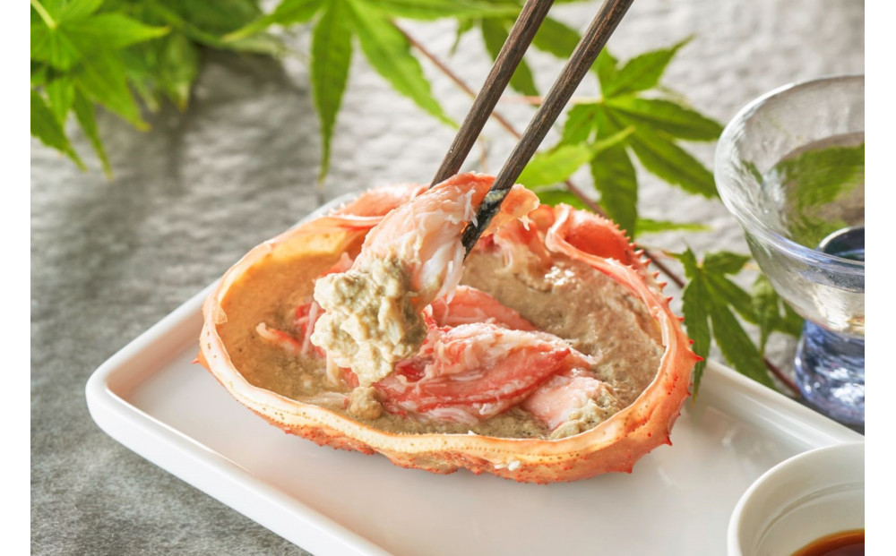 【2025年9月先行受付】佐渡島直送！浜茹で紅ズワイガニ甲羅盛り100g×5パック 蟹ミソ入り　ふるさと納税