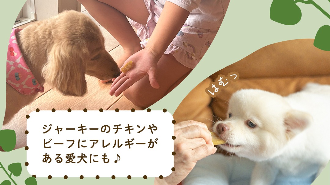 犬のおやつ 国産 干し芋 無選別 訳あり 400g (100g × 4袋) 送料無料 保存料不使用 ドックフード 国産手作り さつまいも 人気 個包装 栄養 効能 犬 わんちゃん 少量 小分け [EA18-NT]