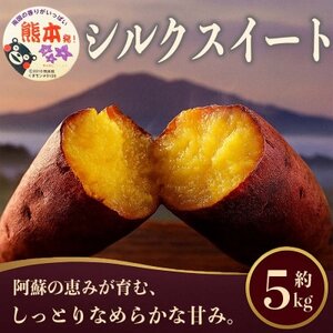 シルクスイート さつまいも 約5kg(益城町)【1689373】