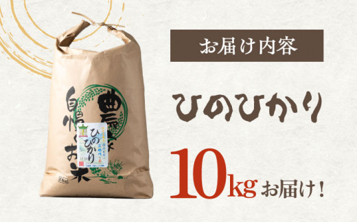 【R7年産_新米予約】対馬産 ひのひかり 10kg「ほたる舞う三根川の米」 《対馬市》【永留しいたけ農園】 米 お米 ご飯 ごはん 白米 10kg 10キロ 産地直送 ランキング 送料無料 贈答用 新