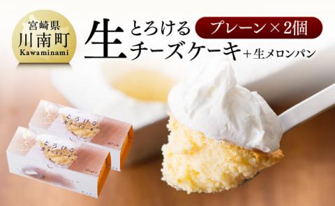 『押川春月堂本店』とろける生チーズケーキ（プレーン2個）【スイーツ ケーキ チーズケーキ 洋菓子 おまけつき お菓子】