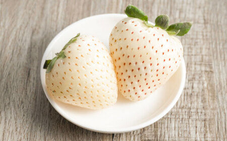 【先行予約】恋みのり・こころの色 220g×2パック（各1パック） / 佐賀県 / 鐘ヶ江農園[41ASBK007]